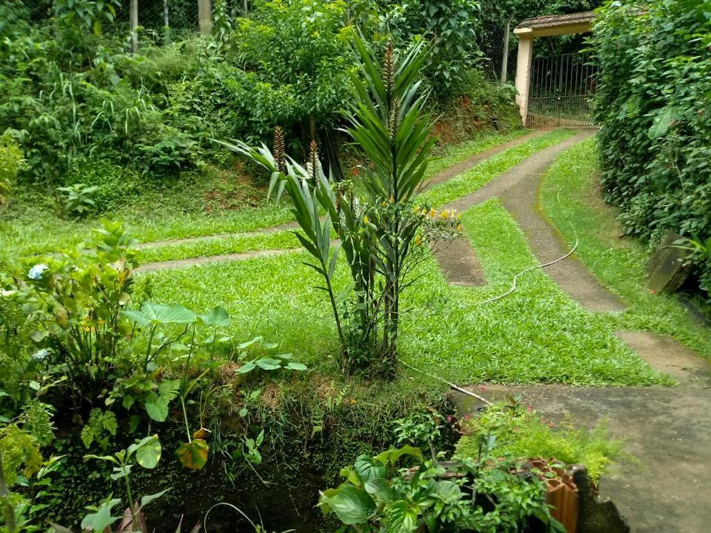Cantinho Do Rio ペネド エクステリア 写真
